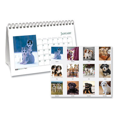 CALENDAR,DESKTP TENT,PUP