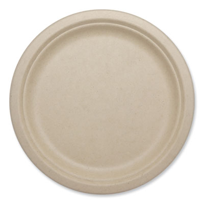 PLATE,FIBER,10",800/CT,NT