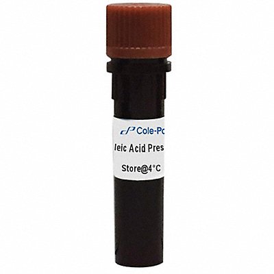 Electrophoresis System Accessories