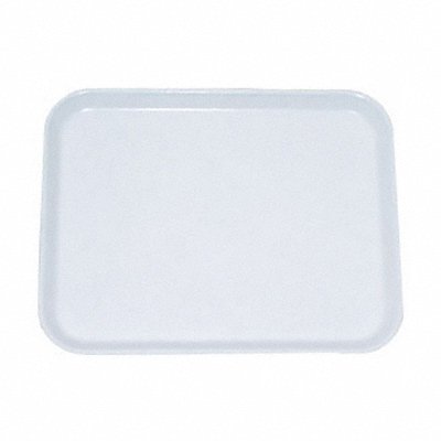 Tray Beige 16 3/8 in 12 in