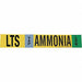 Pipe Marker Ammonia 4 in H 24 in W