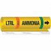 Pipe Marker Ammonia 9 in H 8 in W