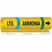 Pipe Marker Ammonia 26 in H 12 in W