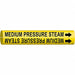 Pipe Mrkr Medium Prssr Steam 2in H 2in W