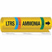 Pipe Marker Ammonia 9 in H 8 in W