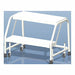 Rolling Ladder Aluminum 19 In.H