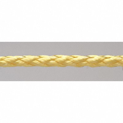 Rope PPL Hollow Braid 3/8In. dia 100ft L