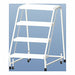 Rolling Ladder Aluminum 38 In.H