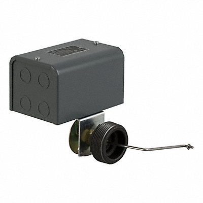 Lqd 2-Lvl Swch Hrzntl 2-1/2 MNPT 250F