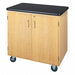 Mobile Storage Cabinet 500 lb 36 x24 