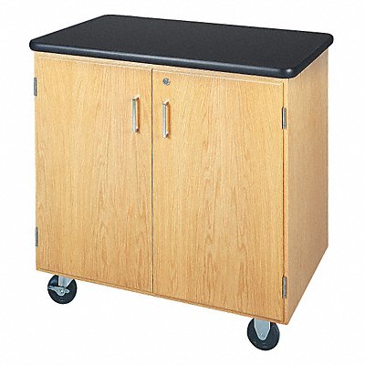 Mobile Storage Cabinet 500 lb 36 x 24 