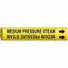 Pipe Markr Medium Pressure Steam 7/8in H