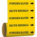 Pipe Mrkr Hydrogen Sulfide 12in H 12in W