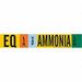 Pipe Marker Ammonia 4 in H 24 in W