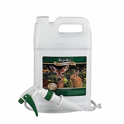 Deer and Rabbit Repellent 1 gal Liquid