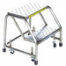 Rolling Ladder Stainless Steel 19 in.H