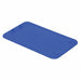 Lid Blue Polypropylene 24.3 in