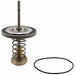 Backflow Preventer Service and Repair Kits