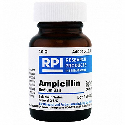 Ampicillin Sodium Salt 10g