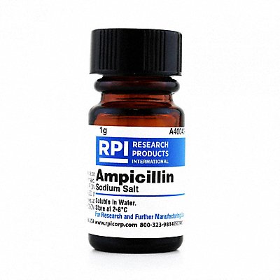 Ampicillin Sodium Salt 1g