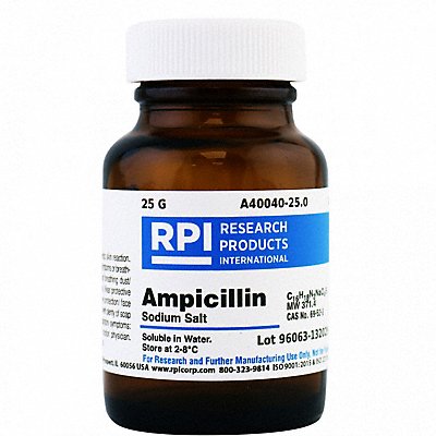 Ampicillin Sodium Salt 25g