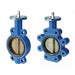 Butterfly Valves Lug 250 psi 8 Size