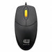 Keyboards and Mice