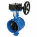 Butterfly Valve Ductile Iron 2 Pipe Sz