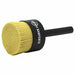 NAMPOWER End Brush 2 Dia 5.250 OAL 