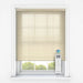 Window Blinds