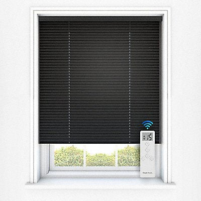 Window Blinds