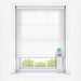 Window Blinds