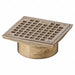 Floor Drain Strainer Square 6In