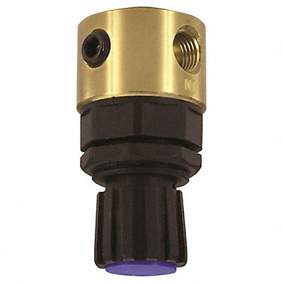 Brass Regulator 1/4 Air Inlet 13 scfm