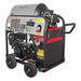 Gas-Powered Walk-Behind Pressure Washers