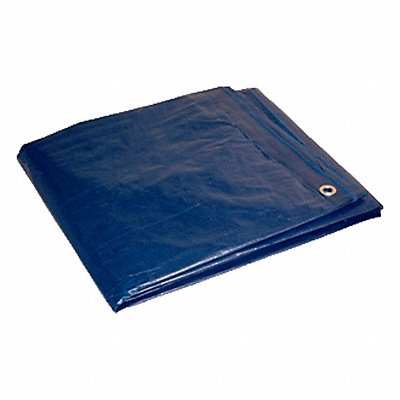 Tarps