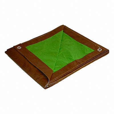 Tarps