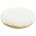 Scouring Pad 5 in L White