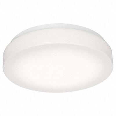 LED Flush Mount 11 Dia 120V White