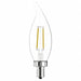 LED Bulb Decorative N/A PK 2