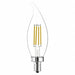 LED Bulb Decorative N/A PK 2