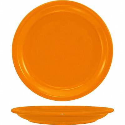 Narrow Rim Plate 9 Dia Orange PK24