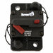 Automotive Circuit Breaker CB 100A 12VDC