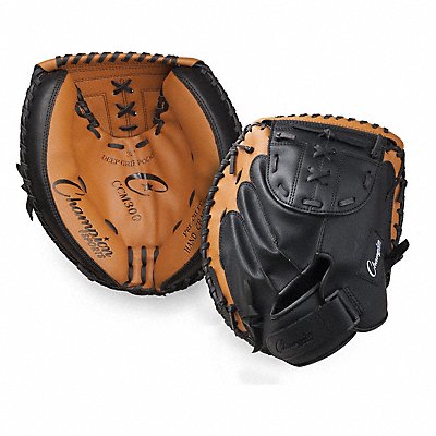 Catchers Glove