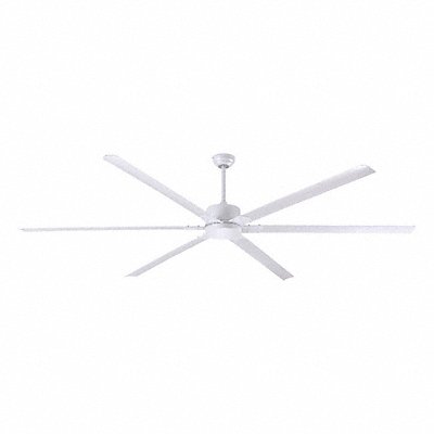 Ceiling Fans