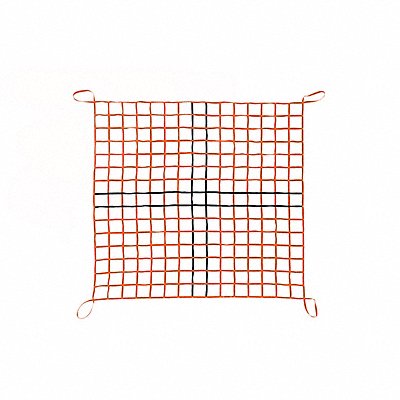 Cargo Lifting Net