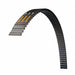 Timing Belts