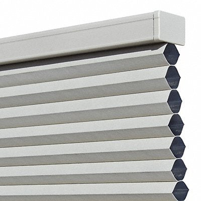 Cellular and Roll Window Shades