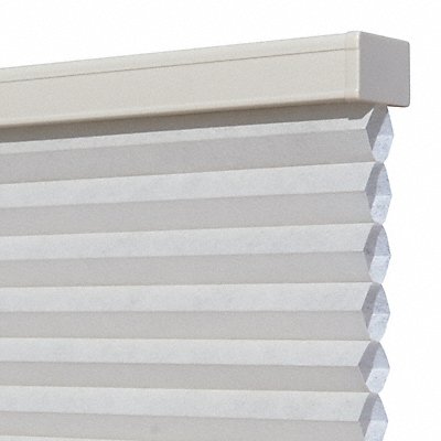 Cellular and Roll Window Shades
