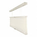 Cellular and Roll Window Shades